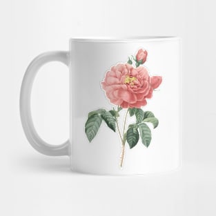 Pink Rose Flower Vintage Botanical Illustration Mug